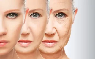 understanding the process of skin aging 1