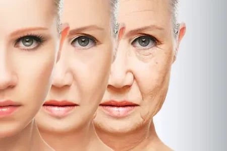 understanding the process of skin aging 1