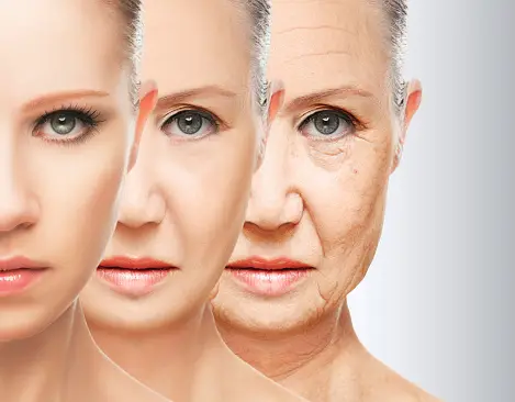 understanding the process of skin aging 1